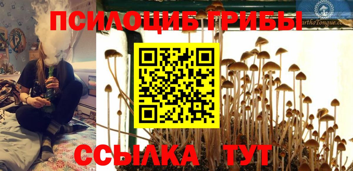 Галлюциногенные грибы MAGIC MUSHROOMS  Азнакаево 