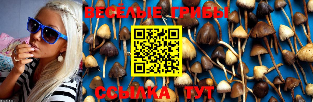 Азнакаево  Галлюциногенные грибы Psilocybine cubensis  купить   Вход с VPN 